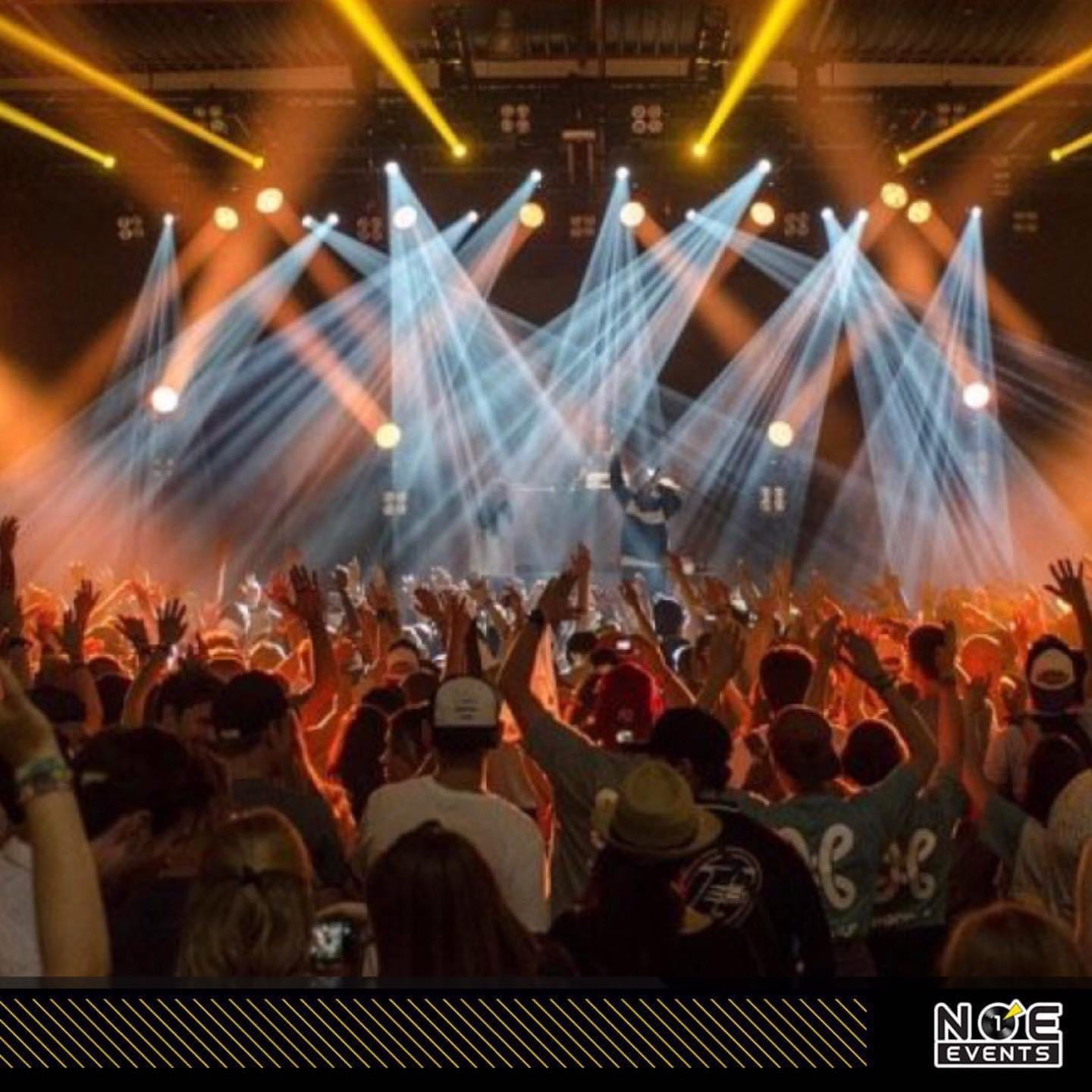 Festivals — photo 7